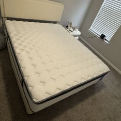 Cama Y Colchón Queen 