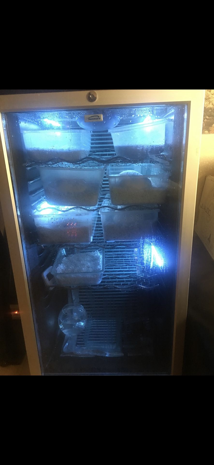 Reptile Incubator