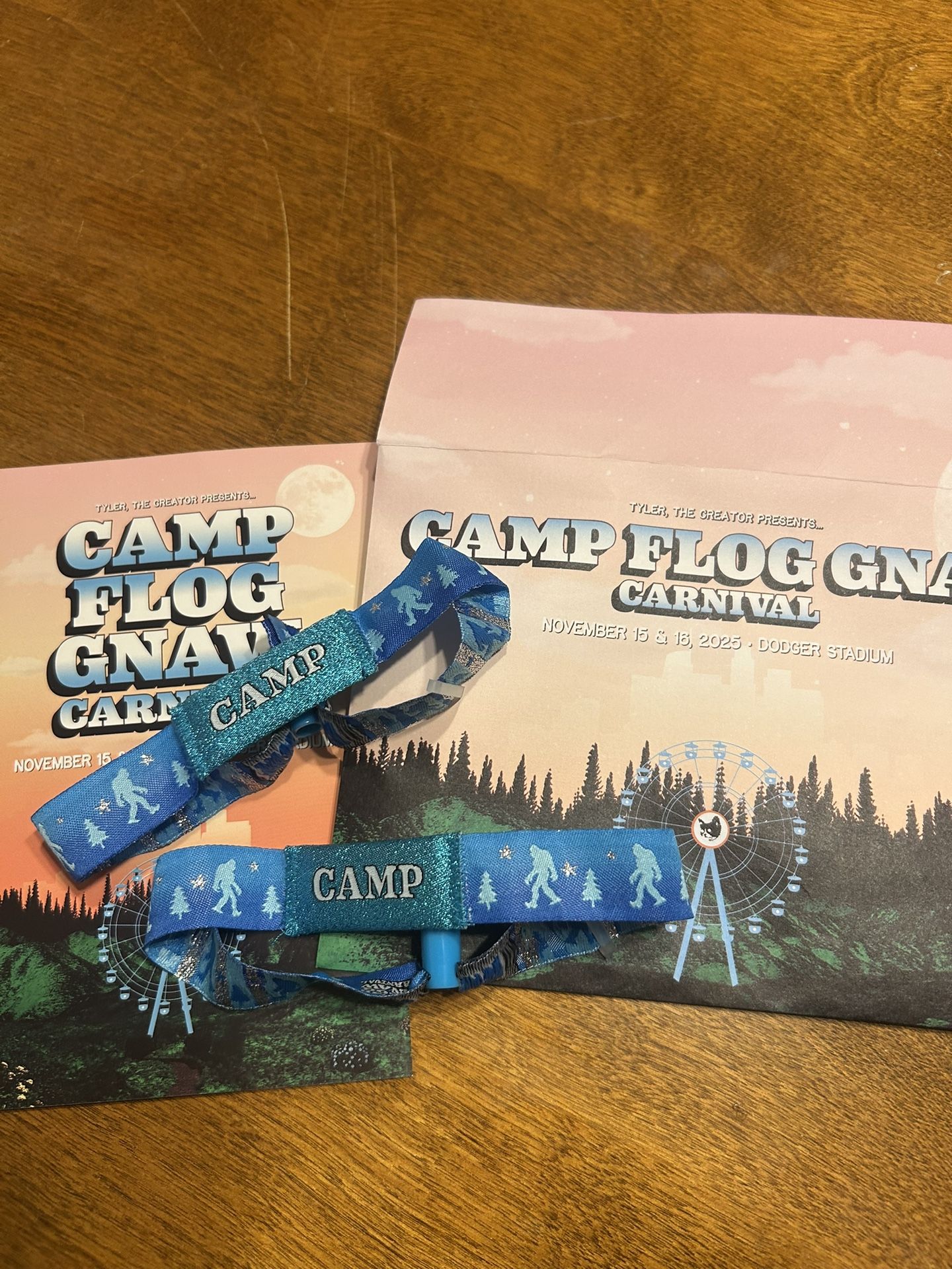 Camp Flog Gnaw Festival 