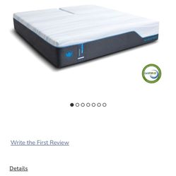 Queen Foam Mattress 