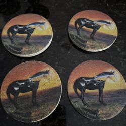 Stone Coaster Set 
