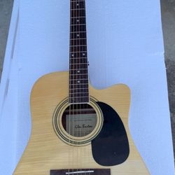 Brand NewElectric Acústic Glen Burton Guitar