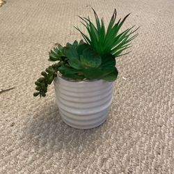 Fake Plant