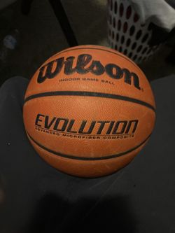 Wilson Evolution Indoor Basketball
