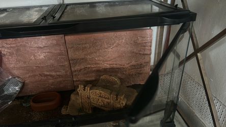 reptile expo  cases