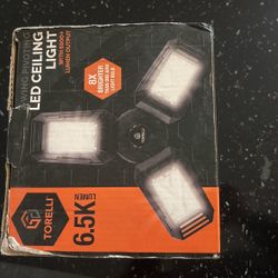 Ceiling Light