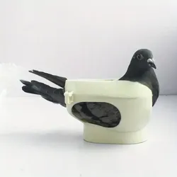 Pigeon holding frame / Pigeons / Homing Pigeon