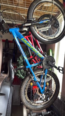 Schwinn thrasher -24 inch rims