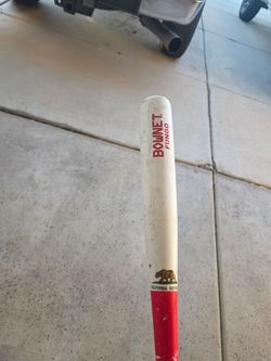 Bownet Fungo