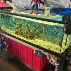 80 Gls. Fish Tank