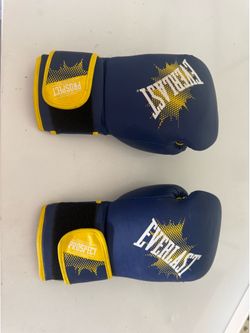 Everlast Boxing Gloves