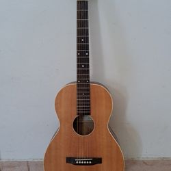 Recording King Guitar 