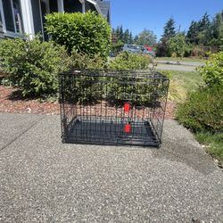 kONG kennel 
