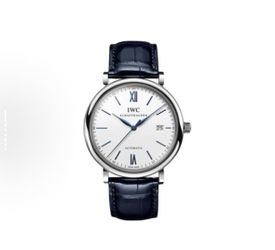IWC Patao Fino Automatic Mechanical Movement Big Three Needles, Date Display(64)35