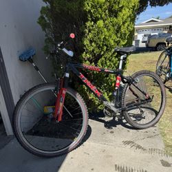 Trek Bike 