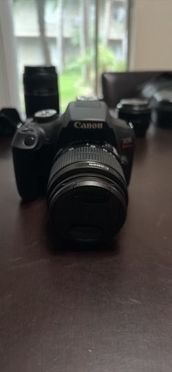 Canon T7 + 4 Lenses