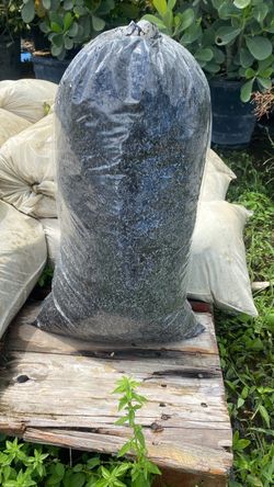 Potting Soil - Bag