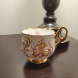 Vintage Rosina Bone China Tea Cup