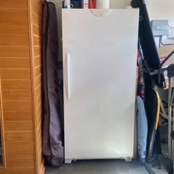 Standing Freezer