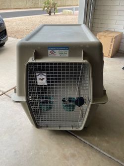Large dog crate