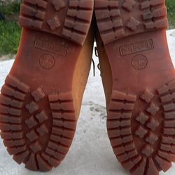 Timber Lands Premium