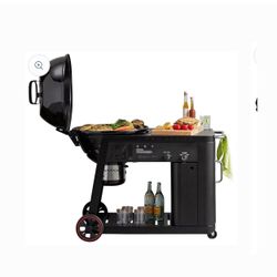 Pro Series Gas Assist Charcoal  Grill
