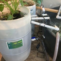 Pond Bog Filters