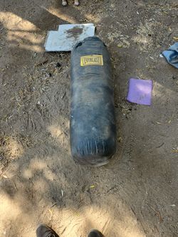 Punching Bag