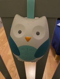 Baby Owl Crib Musical