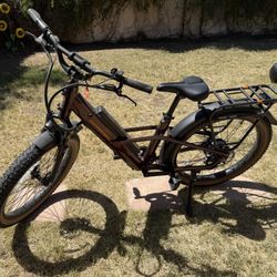 Radster Trail E-bike 