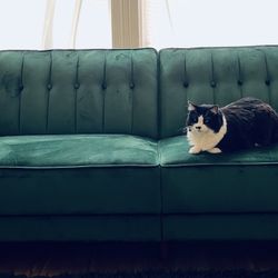 Green Velvet Futon / Couch