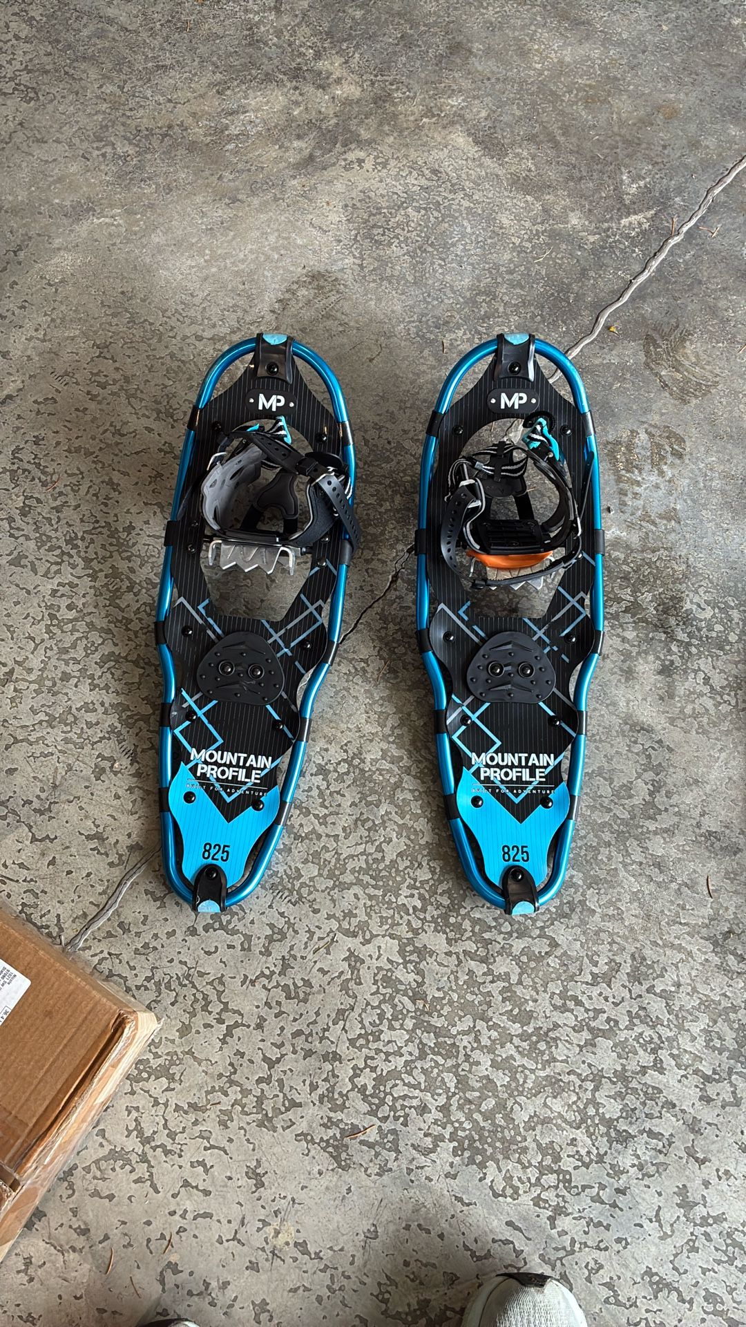 Snowshoes 