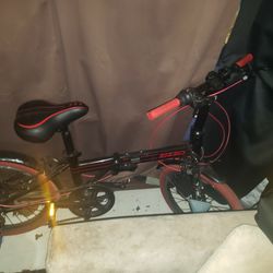 Folding Bike