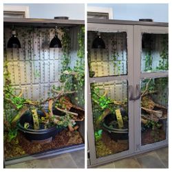 Large Modified Shed Animal Enclosure