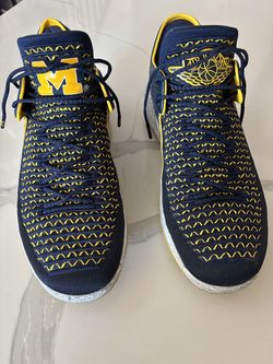 Jordan Retro 32 Low Michigan player exclusive basketball shoes, size 13