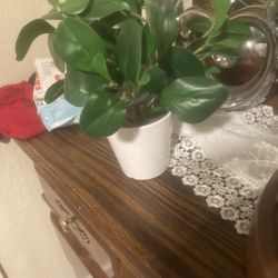 Vase with artificial greenery