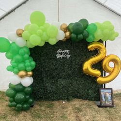 Balloon Arch