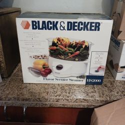 Flavor Scenter Steamer