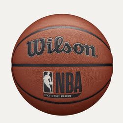 Asking 30 for Wilson nba forged pro