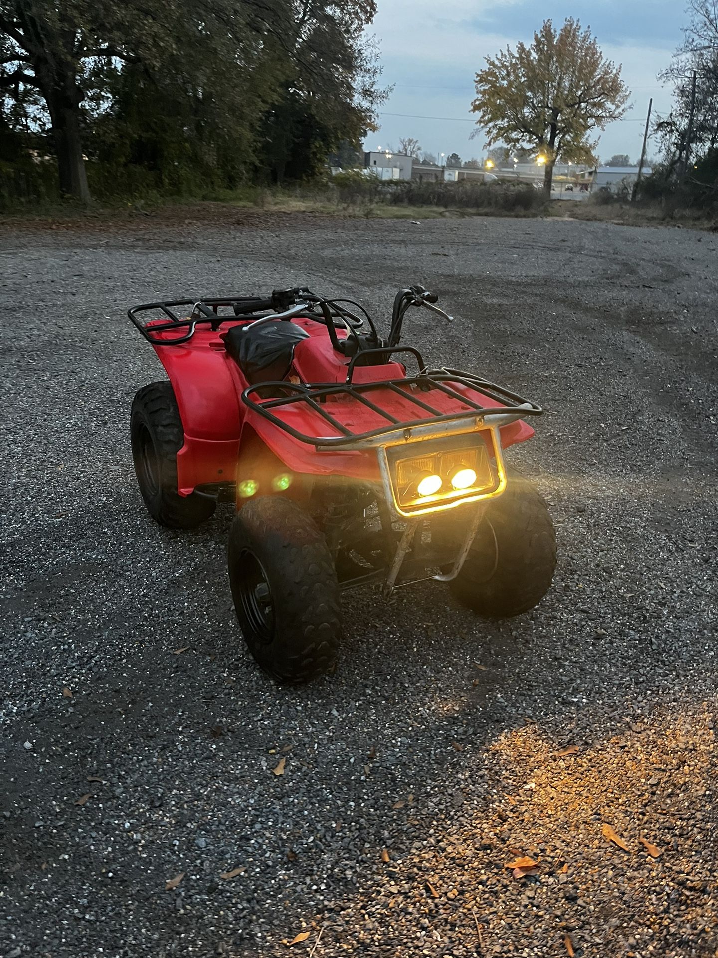 1994 - 2000 Yamaha Timberwolf