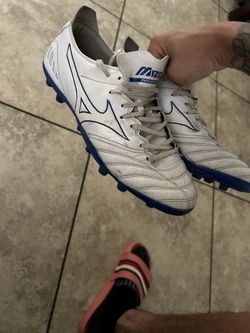 Mizuno Morelia
