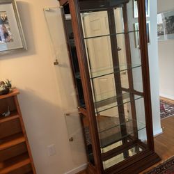 Glass and Wood Display Cabinet With Light
