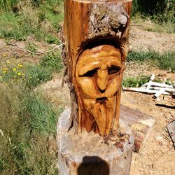 Chainsaw Carving Face