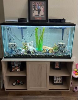 55 Gallon aquarium with stand