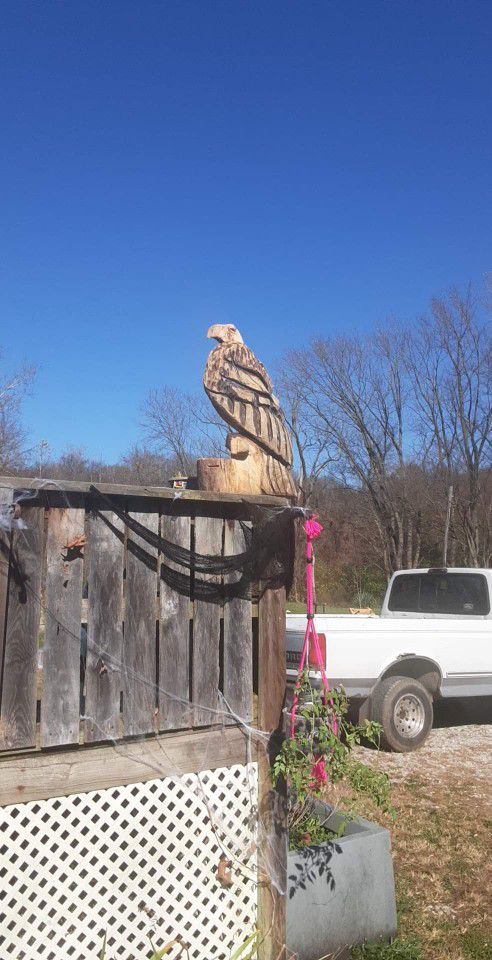 Chainsaw Carved Eagle