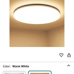 Ceiling Light New( Available 5)