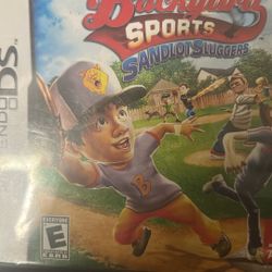 DS Baseball Game