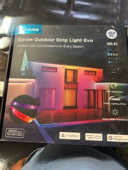 LED light govee