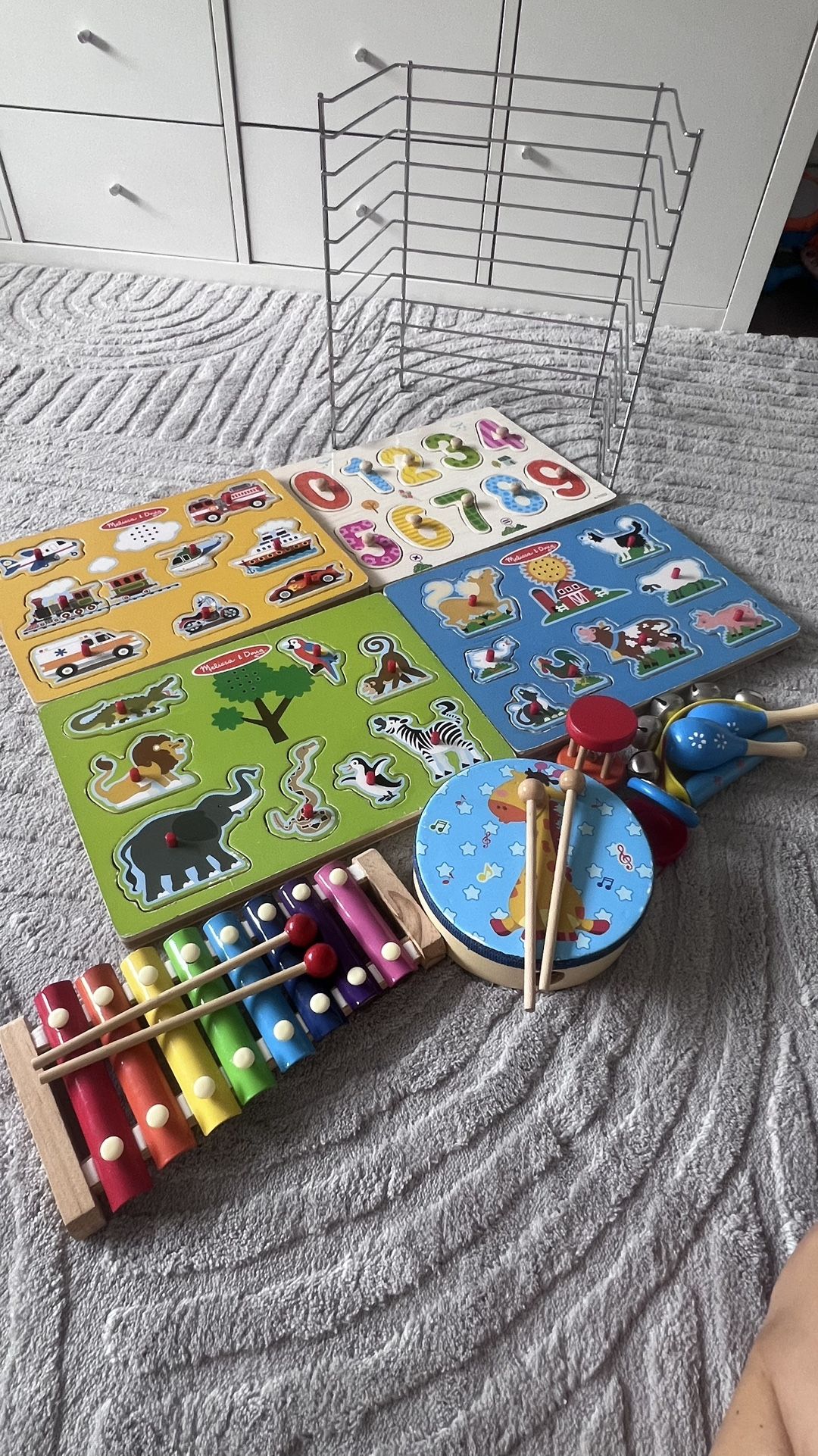Instruments And Animal Toys