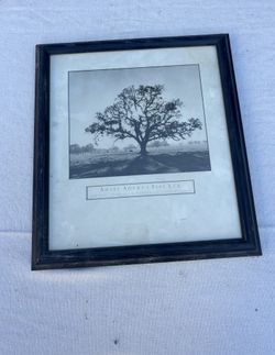 Tree Painting 
